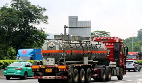 網購假證押運危化品，女子冒險上路終被重罰